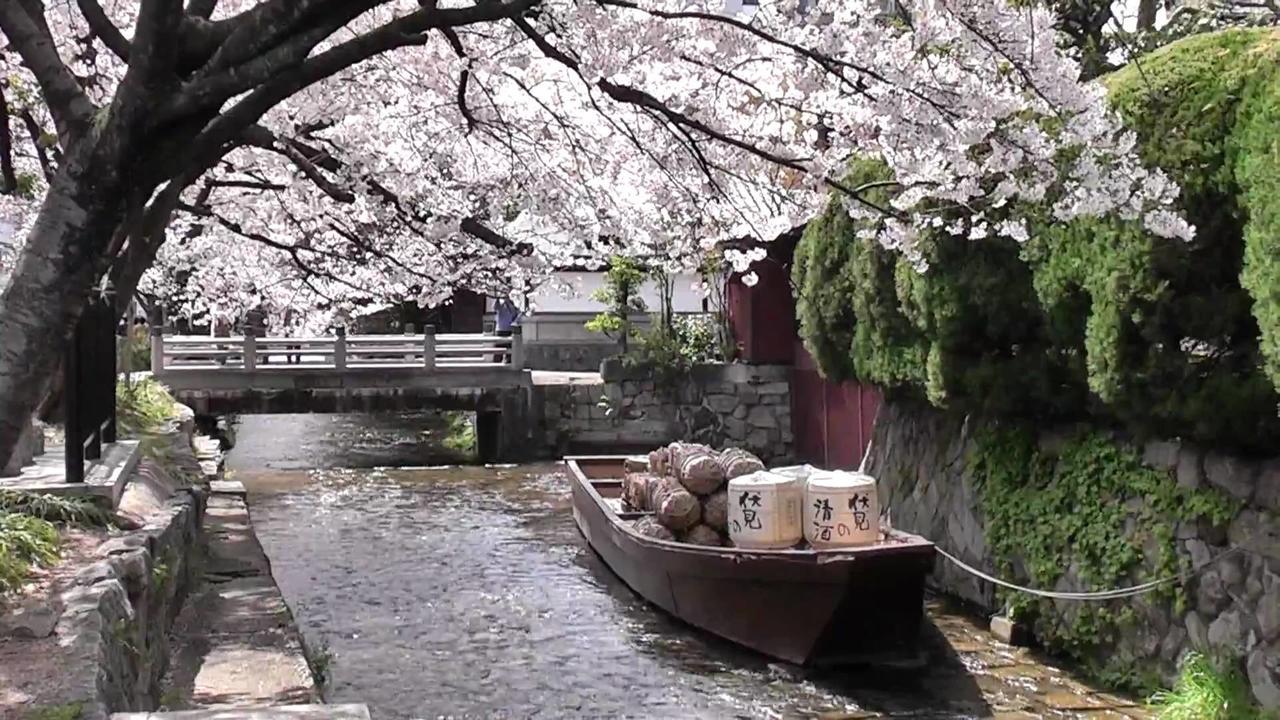 Kyoto Miyabi Hotel Eksteriør billede
